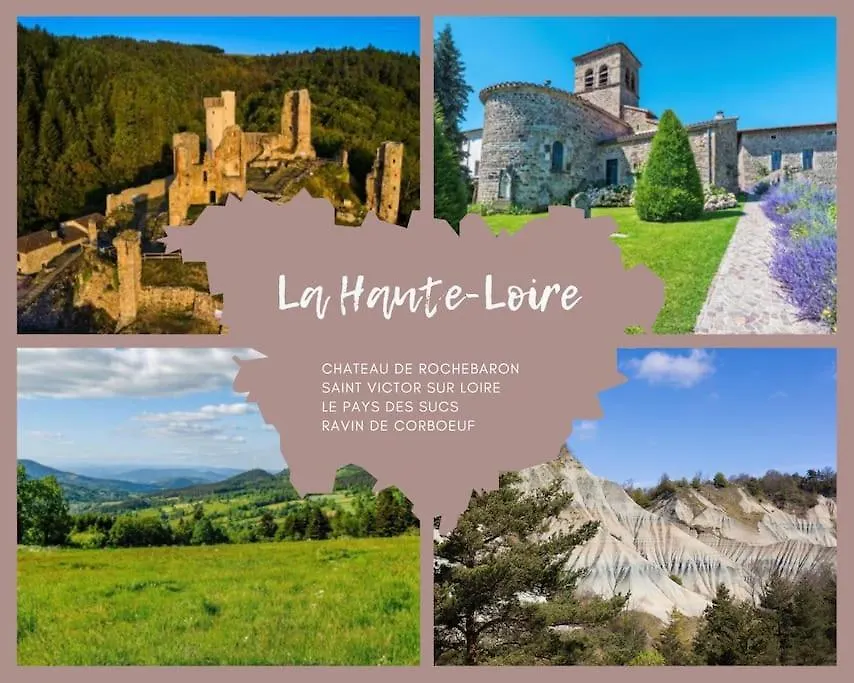 Le Lagon Bleu - Appt Wifi Parking Balcon Le Puy-en-Velay Apartment